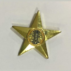 Star Pin Leo