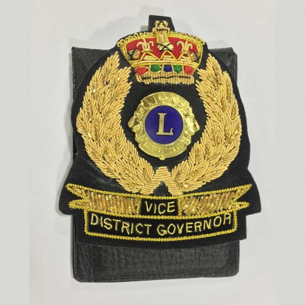 Vice District Governor