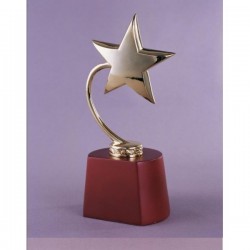 Star Trophy 3
